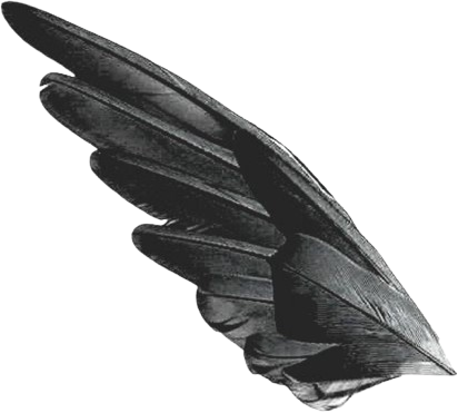 goth_feathers emote for Discord