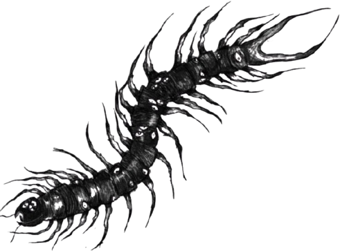 goth_centipede emote for Discord