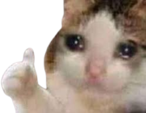 CatThumbsUpSad emote for Discord