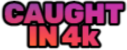 caughtin4k_IDS emote for Discord