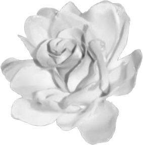 goth_rose emote for Discord