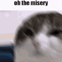 everysinglepersonismyenemy emote for Discord