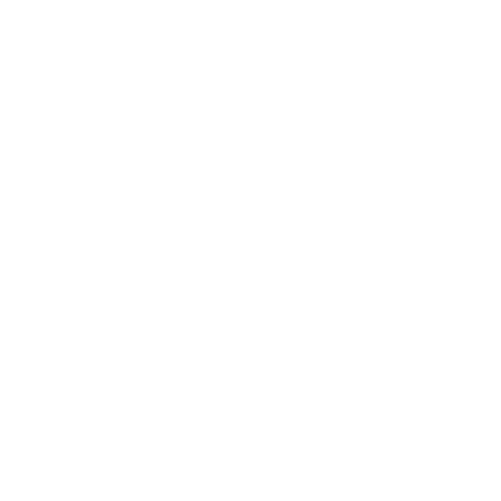 REEL emote for Discord