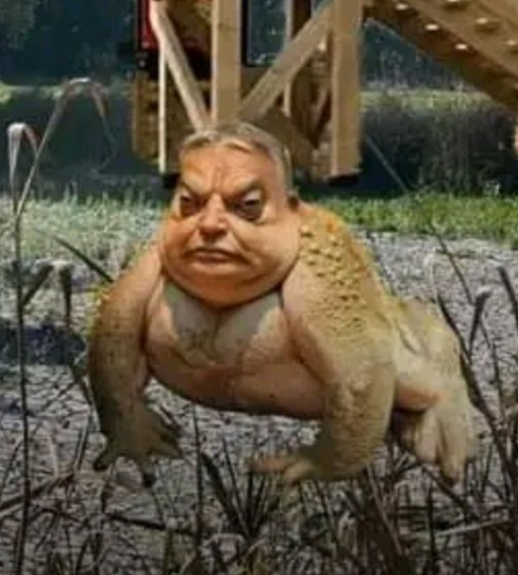 Orban emote for Discord