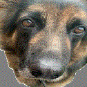Ghost emote for Discord