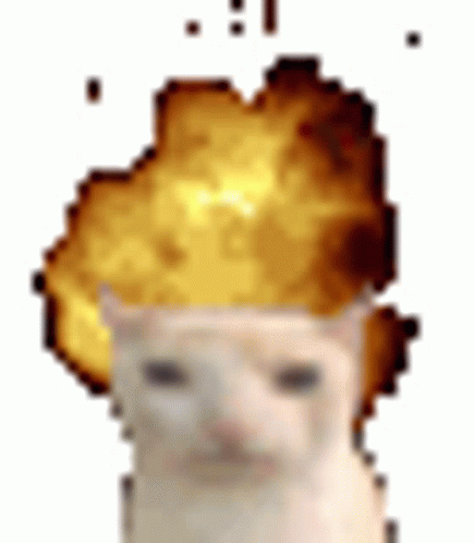 CatMindBlown emote for Discord