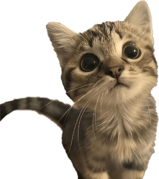 Cutey emote for Discord