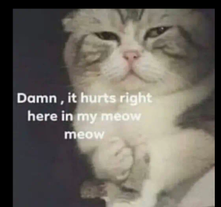 hurt_cat emote for Discord