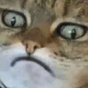 CWhy emote for Discord