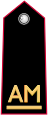 ccallievomaresciallo emote for Discord