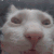 kk emote for Discord