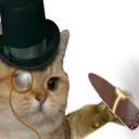 rich_cat emote for Discord