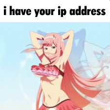 i_got_ur_ip emote for Discord