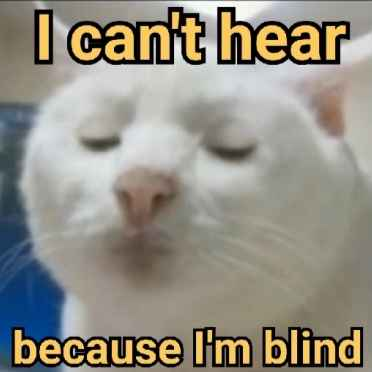 cant_cuz_im_blind emote for Discord