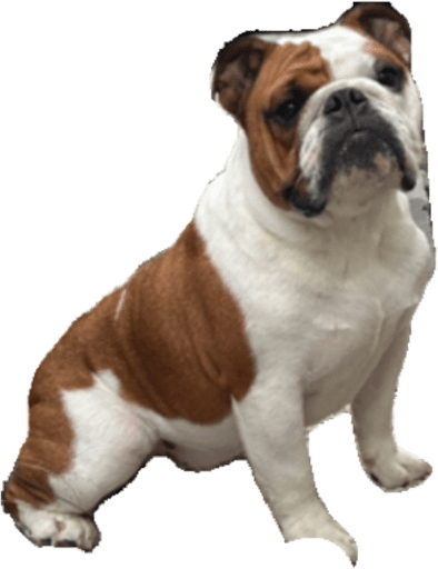 Otis emote for Discord