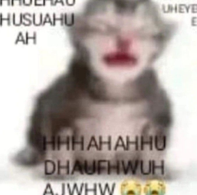 CryingCat emote for Discord