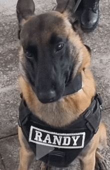 randy emote for Discord