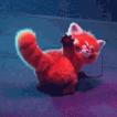 red_panda_butt emote for Discord