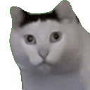huh emote for Discord