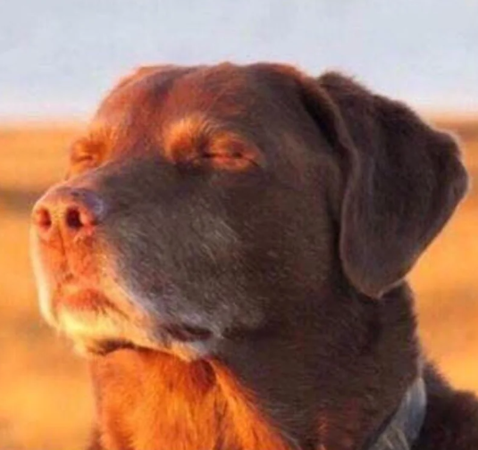 when_you_realise emote for Discord