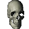 spinning_skull emote for Discord
