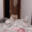 catdan emote for Discord