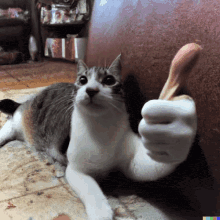 ThumbsUP emote for Discord