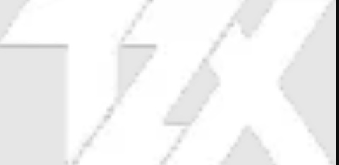 tzx emote for Discord