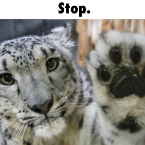 Stop emote for Discord