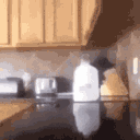 food_fight emote for Discord