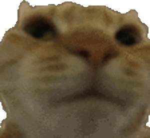 nono emote for Discord