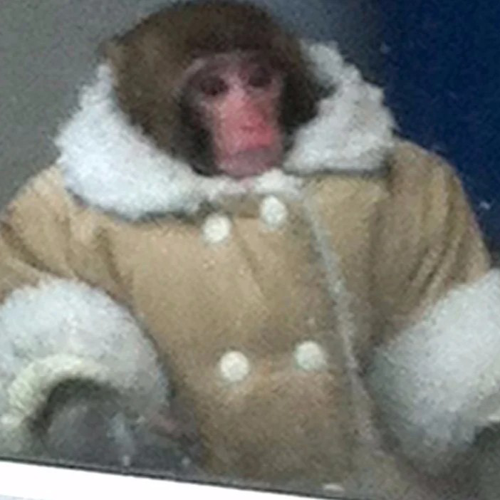confused_monkey emote for Discord
