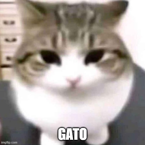 Cat emote for Discord