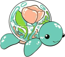 turtle_pod emote for Discord