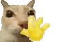 CatWave emote for Discord