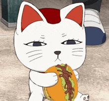 turbocat1 emote for Discord