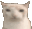 cateat emote for Discord