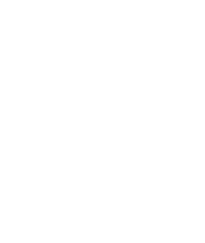 Preservation_Honkai_Star_Rail emote for Discord