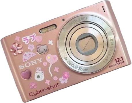 Pink_Camera emote for Discord