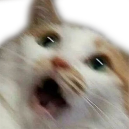 cat_scared emote for Discord