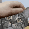 Eko_Pat emote for Discord