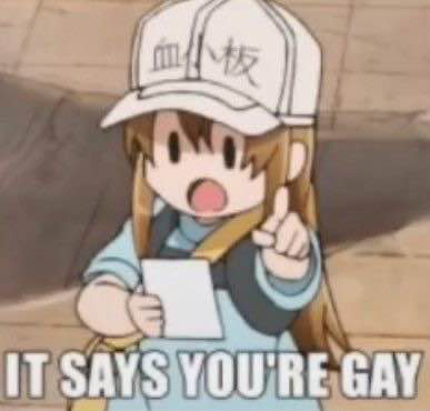 It_Says_Youre_Gay emote for Discord