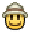 safari emote for Discord