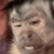 makako emote for Discord