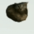 oiia emote for Discord