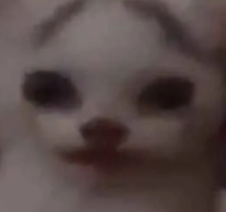 Melon emote for Discord
