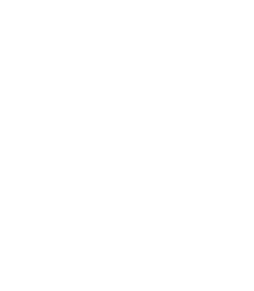 Developer emote for Discord