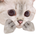 Nana_Concern emote for Discord