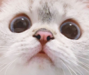 Nana_Want emote for Discord