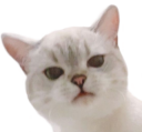 Nana_Wtf emote for Discord